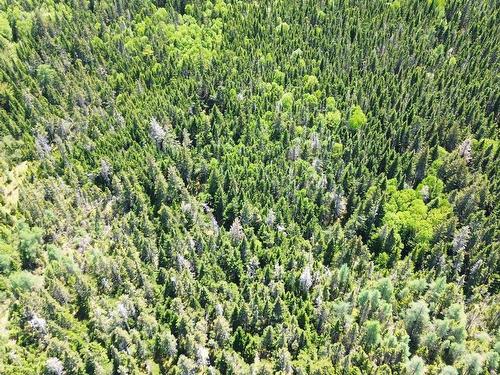 320 Highway, D'Escousse, NS 