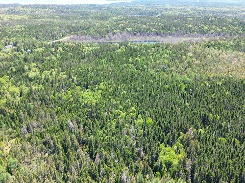 320 Highway, D'Escousse, NS 