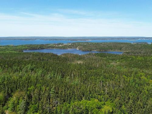 320 Highway, D'Escousse, NS 