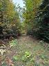 Lot 12-4 Wegesegum Rd, Long Creek, NB 