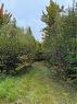 Lot 12-5 Wegesegum Rd, Long Creek, NB 