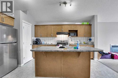 250 Martinwood Place Ne, Calgary, AB - Indoor Photo Showing Kitchen With Double Sink