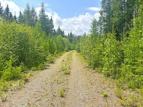 2999 Alice Ave, Thunder Bay, ON 