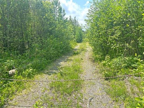 2999 Alice Ave, Thunder Bay, ON 