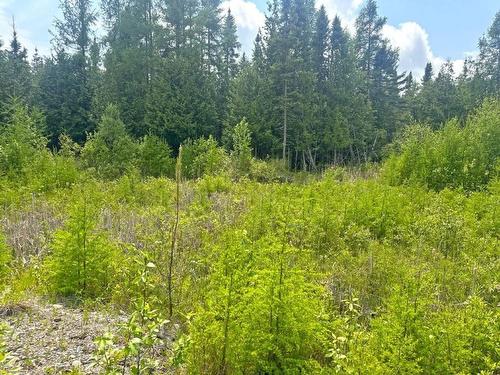 2999 Alice Ave, Thunder Bay, ON 