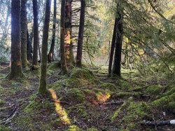 Lot B Highway 16  See Remarks, BC V0T 1R0