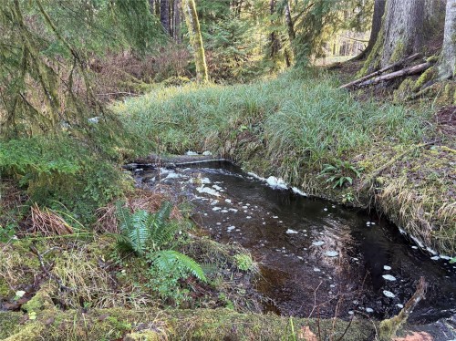 Lot B Highway 16, See Remarks, BC 