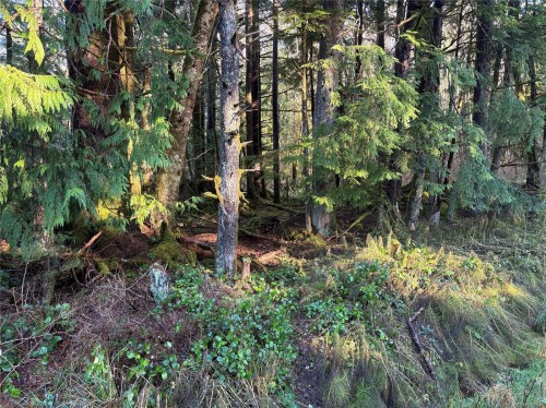 Lot B Highway 16, See Remarks, BC 