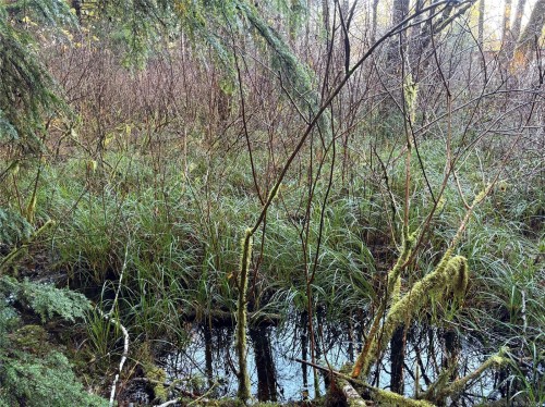 Lot B Highway 16, See Remarks, BC 