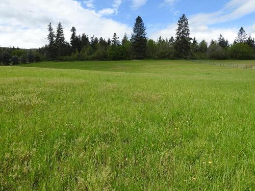 4435 Hallam Road, Armstrong, BC - Outdoor With View