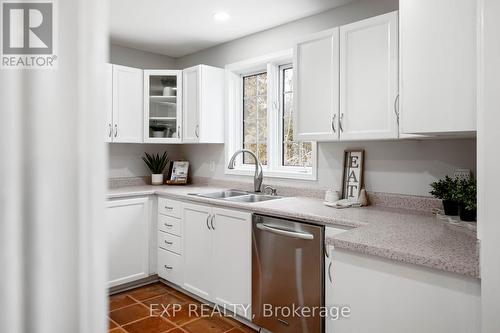 994359 Mono-Adjala Townline, Adjala-Tosorontio, ON - Indoor Photo Showing Kitchen With Double Sink