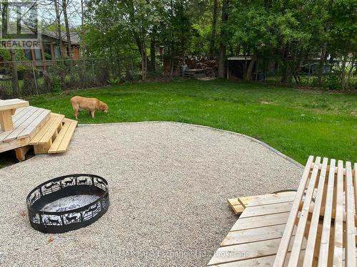 251 4Th Avenue, Hanover, ON - Outdoor