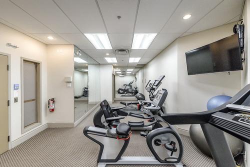 Salle d'exercice - 219-2 Place Des Jardins-Des-Vosges, Montréal (Verdun/Île-Des-Soeurs), QC - Indoor Photo Showing Gym Room