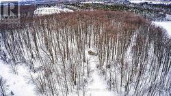 Trails to the forest at back of property - 