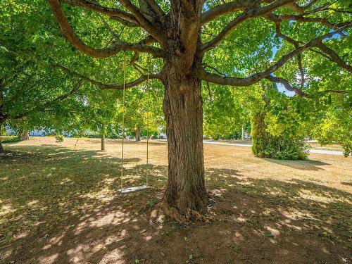 156 Brown Street, Berwick, NS 