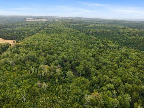 360 Burris Road, Pleasant Valley, NS 