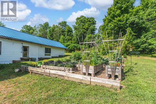 4396 Penetanguishene Road, Springwater, ON - Outdoor