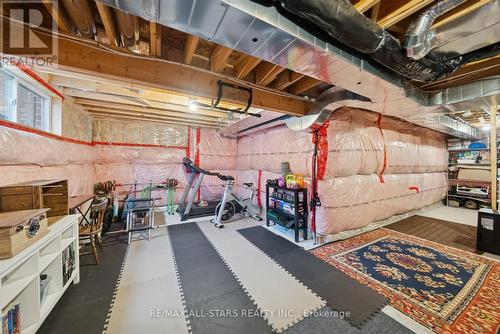 20 Carleton Trail, New Tecumseth, ON - Indoor Photo Showing Basement