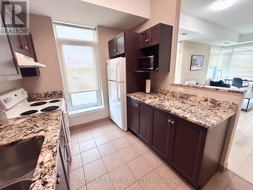 201 - 100 Roger Guindon Avenue, Ottawa, ON - Indoor Photo Showing Kitchen