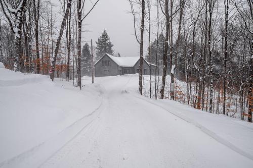 Vue d'ensemble - 15 Ch. De L'Escalade, Morin-Heights, QC - Outdoor