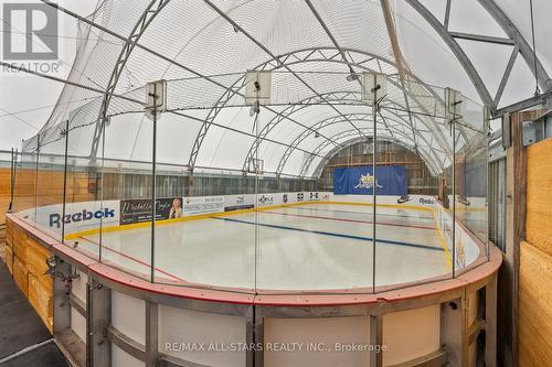 34x70 Training hockey rink - 247 Ravencrest Road, Georgina, ON - Indoor Photo Showing Other Room