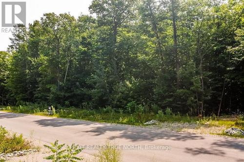 Lt 45 Explorers Landing, Tiny, ON 