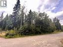 Lot 81 Mulligan Drive, Horse Lake, BC 