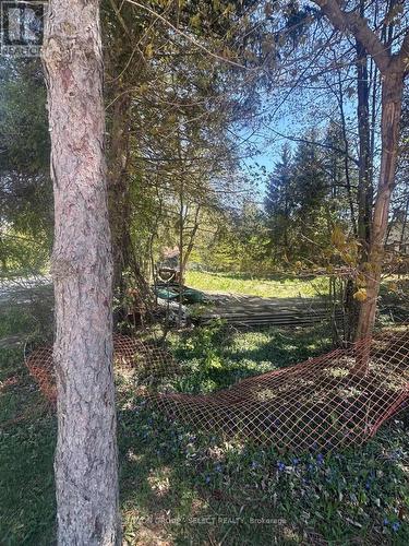 14 Mactavesh Crescent, Bluewater (Bayfield), ON 