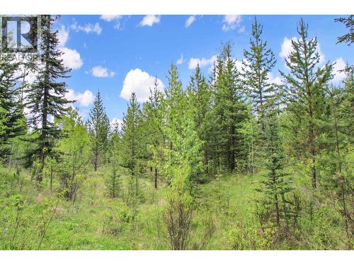 Prop Lot 19 Brown Road, Bridge Lake, BC 