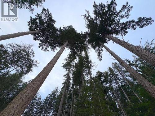 1630 Savary Island Rd, Savary Island, BC 