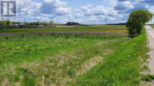 3568 4 Line, Bradford West Gwillimbury, ON 