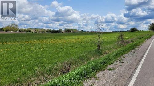 3568 4 Line, Bradford West Gwillimbury, ON 