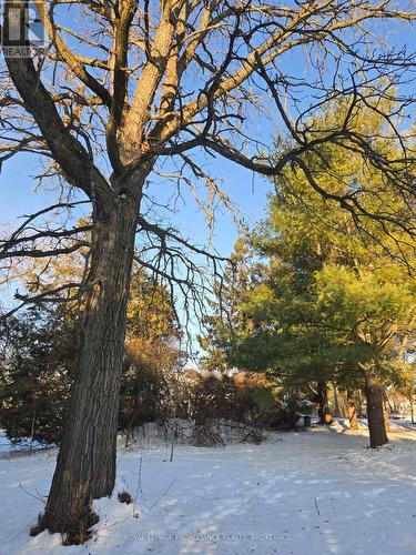 6014 Main Street, Frontenac (Frontenac South), ON - Outdoor With View