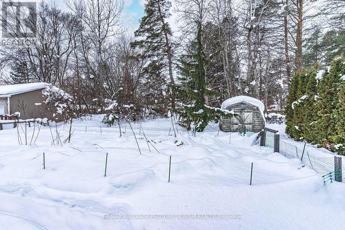 187 Mill Street, Essa, ON 