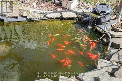 102 Newcastle Street, Toronto, ON - Outdoor