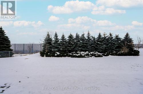 95 Faithful Way, Markham, ON - Outdoor With View