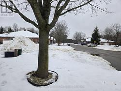 View down the street - 