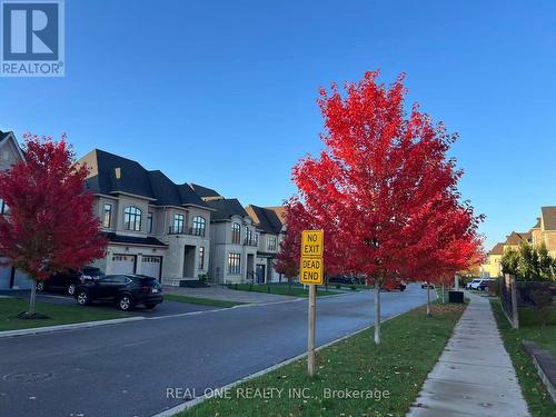 45 Shining Willow Court, Richmond Hill, ON - Outdoor With Facade