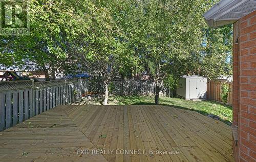 20 Rinaldo Road, Georgina, ON - Outdoor