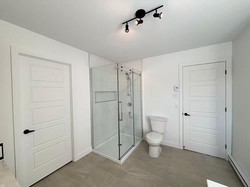 Salle de bains - 563 D'Apollon, Saint-Gilles, QC - Indoor Photo Showing Bathroom