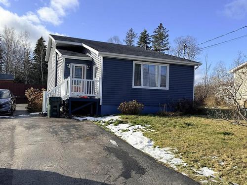 87 Murphy Road, Westmount, NS 
