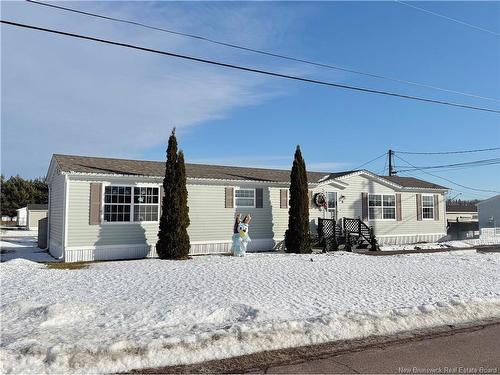 6 Cypress Tree St, Moncton, NB 