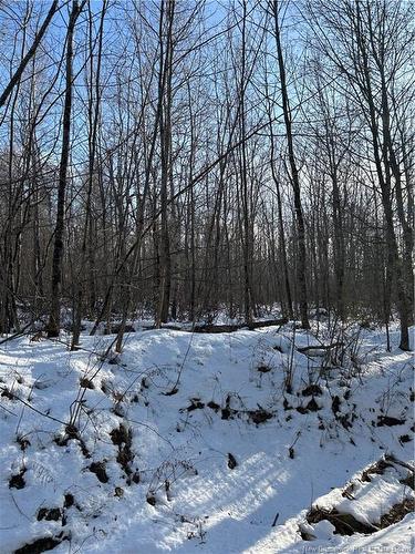 O Resevoir Rd, Saint Stephen, NB 