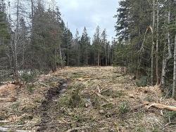 NA Route 790  Dipper Harbour, NB E5J 1W4