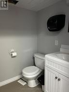 lower level bathroom - 