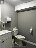 lower level bathroom - 