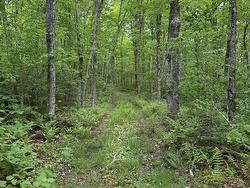 Lot PID#20098885 Truro Road  New Annan, NS B0K 1V0