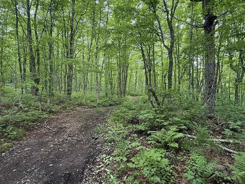 Lot Pid#20098885 Truro Road, New Annan, NS 