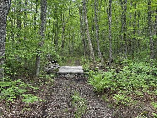 Lot Pid#20098885 Truro Road, New Annan, NS 