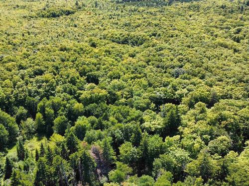 Lot Pid#20098885 Truro Road, New Annan, NS 